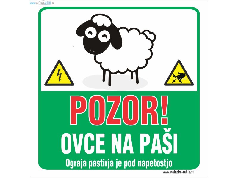 Pozor ovce na paši