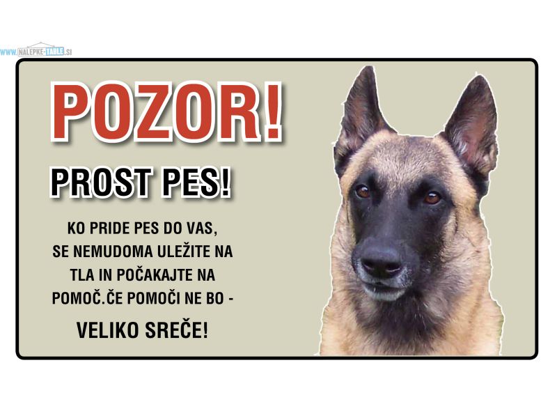 Belgijski ovcar PROST PES