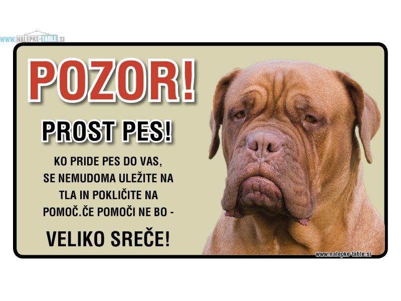 Bordojska Doga pozor 25x15cm