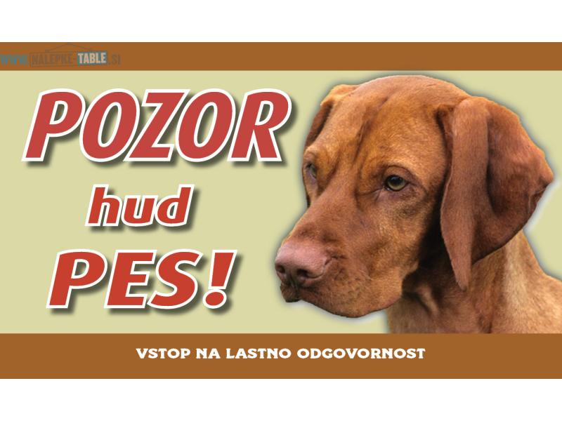 Madzarska vizla