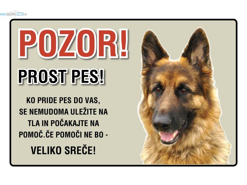 NEMSKI OVCAR PROST PES 30x20cm