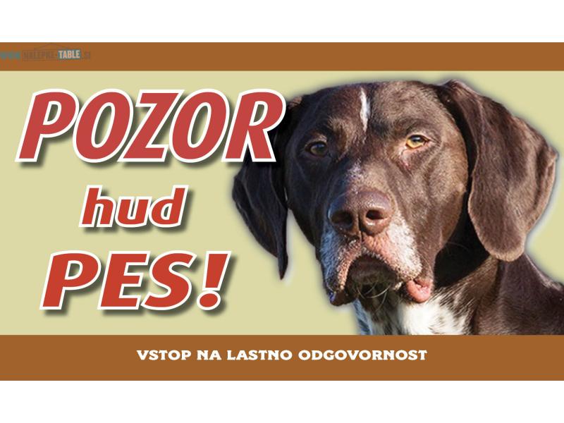 Nemski kratkodlaki pticar