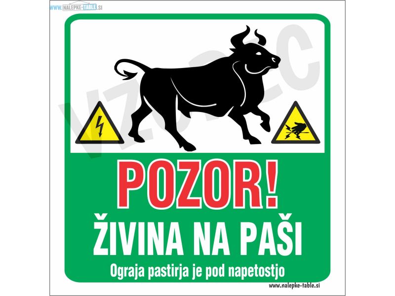 Pozor zivina na pasi