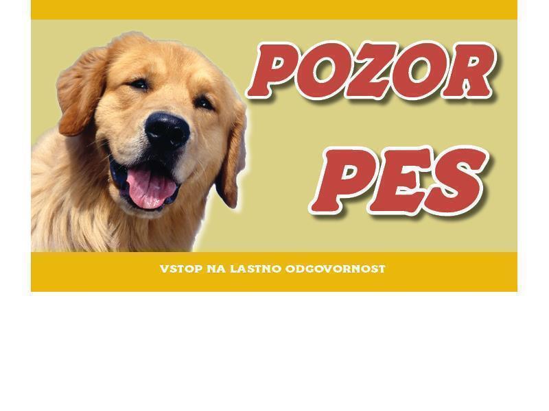 Zlati prinasalec pozor pes
